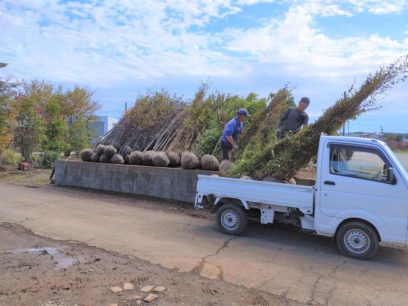 株式会社倉持グリーンのアルバイト・バイト求人情報-03