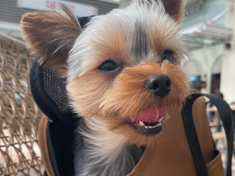 株式会社あかツキのアルバイト・バイト求人情報-02