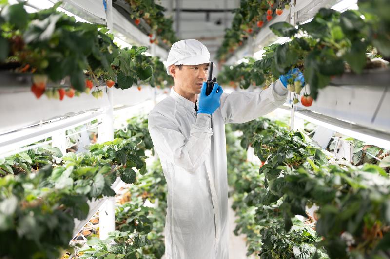 Oishii Farm株式会社のアルバイト・バイト求人情報-04