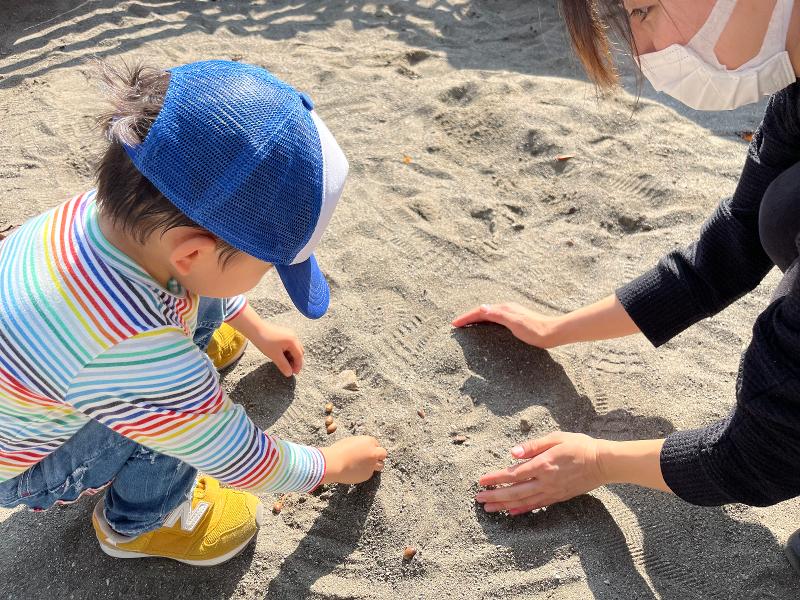 ハニークローバー株式会社の求人・転職情報