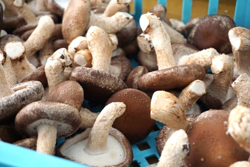 就労継続支援B型事業所ぽっかぽかのアルバイト・バイト求人情報-03