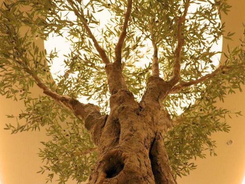 OBERIA Beauty Clinicのアルバイト・バイト求人情報-02