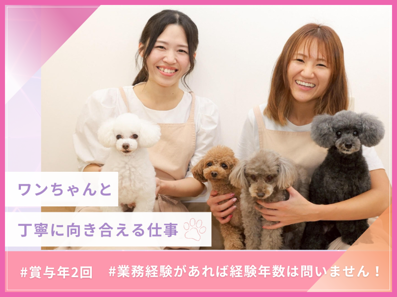 株式会社ハピリィの求人・転職情報