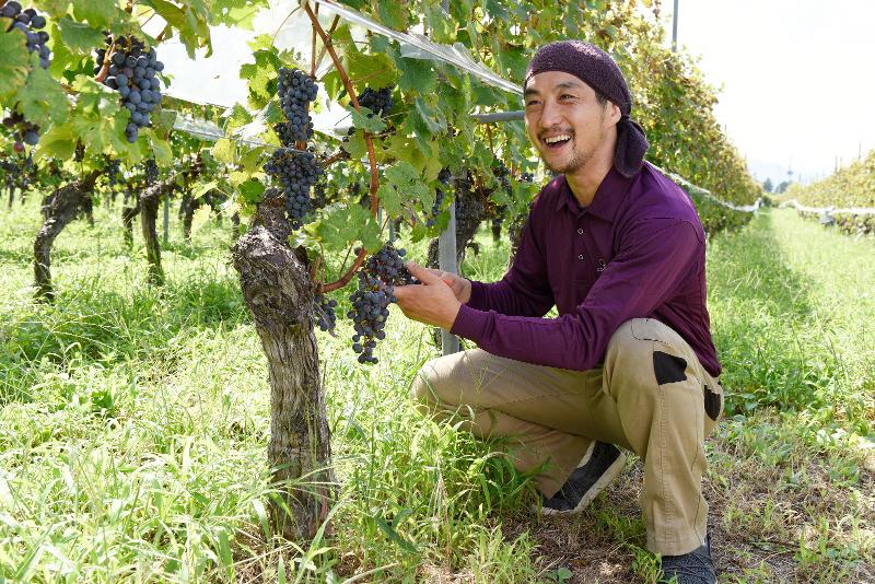 株式会社ルミエールの求人・転職情報