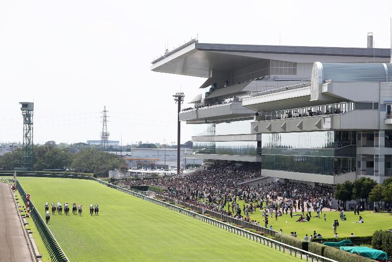 JRA日本中央競馬会 新潟競馬場のアルバイト・バイト求人情報-02