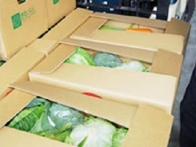 株式会社野菜くらぶのアルバイト・バイト求人情報-02