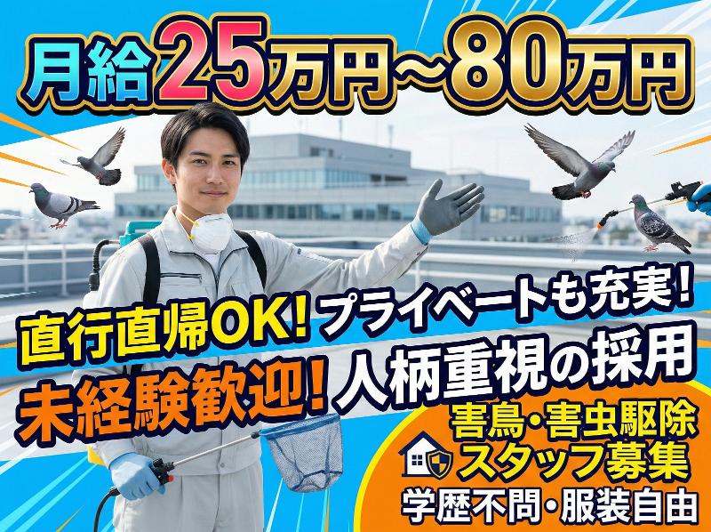 株式会社ヴィグラの求人・転職情報
