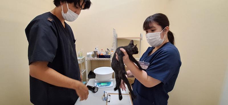 TNR日本動物福祉病院のアルバイト・バイト求人情報-05