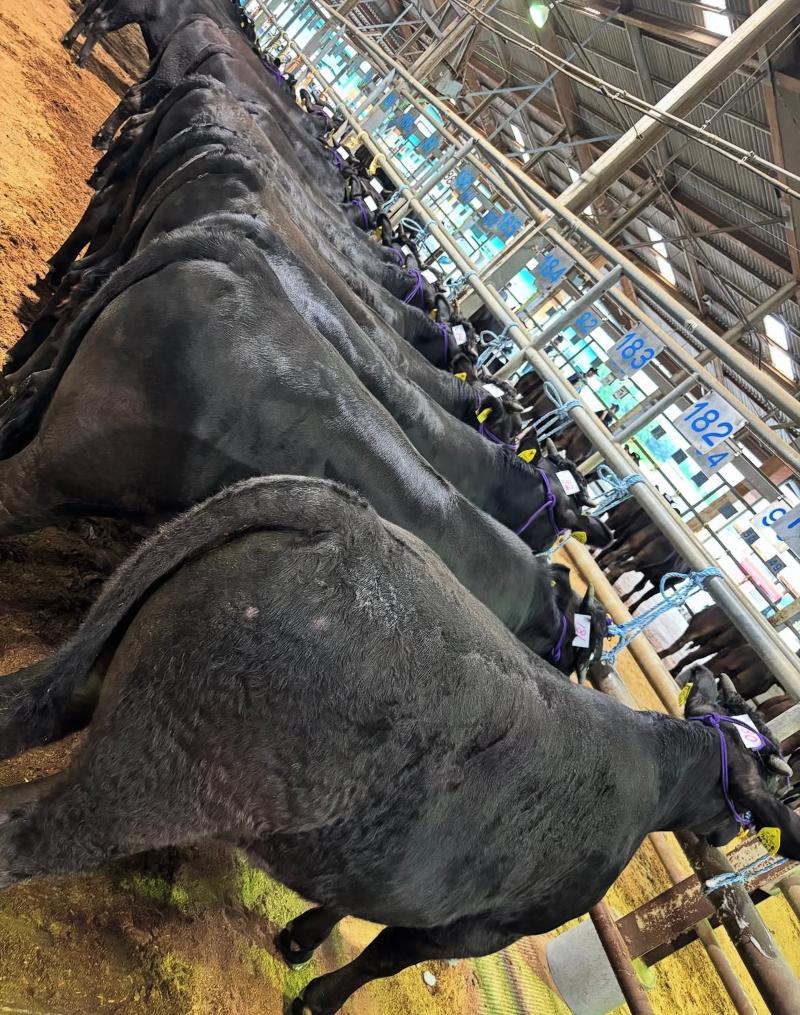 有限会社月尾企画のアルバイト・バイト求人情報-03