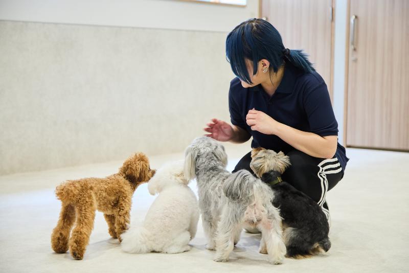 株式会社EMITASのアルバイト・バイト求人情報-04