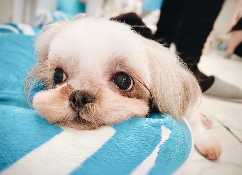 株式会社ANELLA Groupのアルバイト・バイト求人情報-03