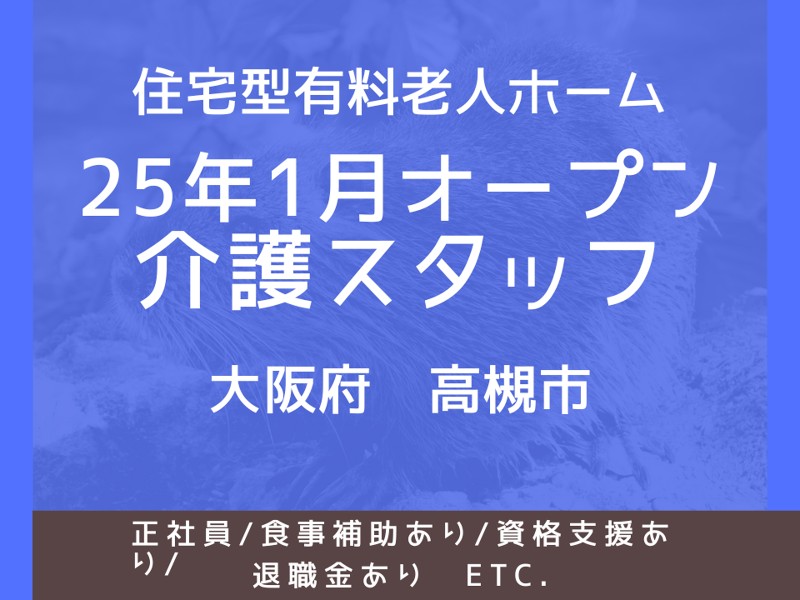 WillBe広告事業部の求人・転職情報