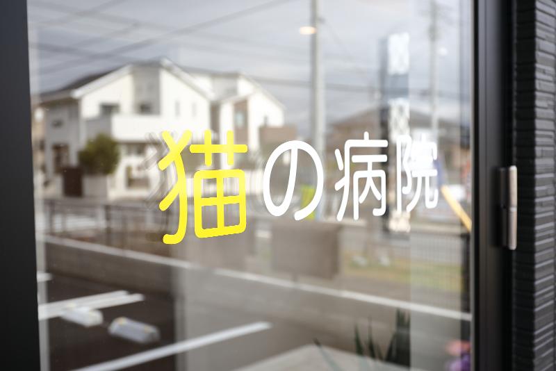 もりの動物病院のアルバイト・バイト求人情報-03