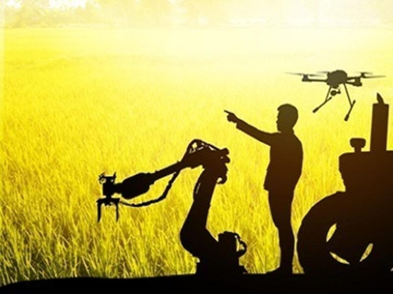 住商アグリビジネス株式会社の求人・転職情報