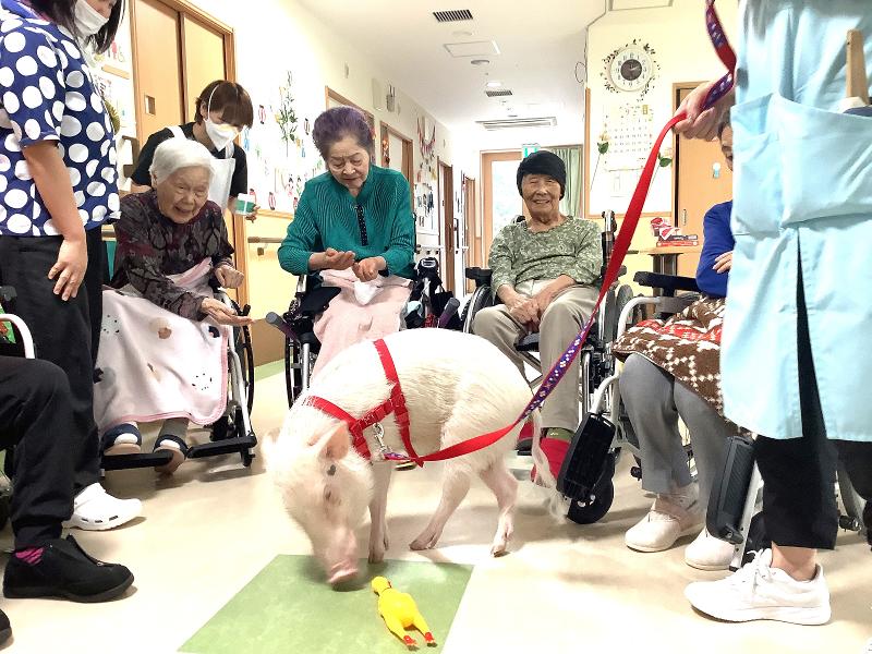 特別養護老人ホーム中標津りんどう園 (社会福祉法人中標津朋友会 )のアルバイト・バイト求人情報-02