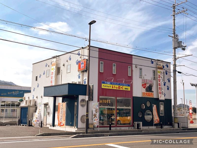 ペットショップいっぷくのアルバイト・バイト求人情報-04