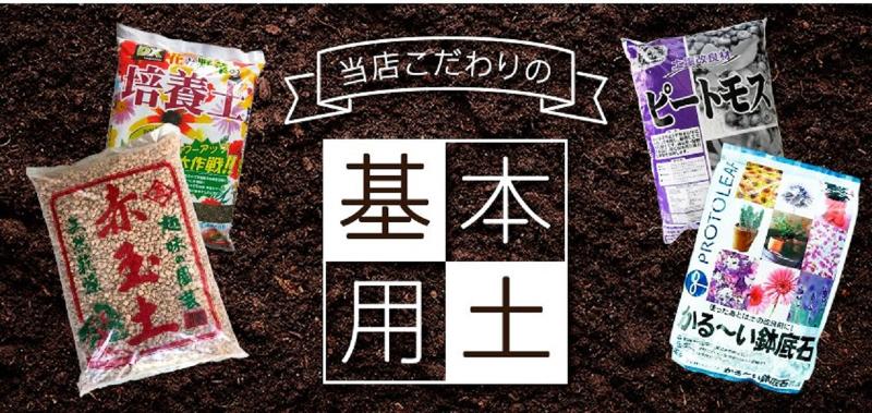 プロサリッチ株式会社の求人情報