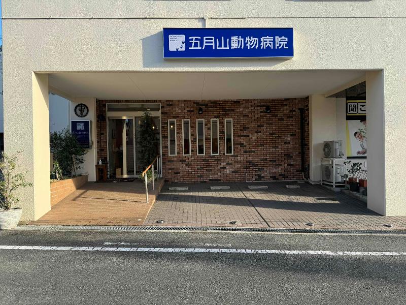 五月山動物病院のアルバイト・バイト求人情報-01