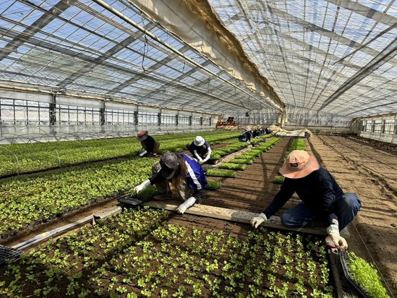 有限会社シノハラ農産のアルバイト・バイト求人情報-01