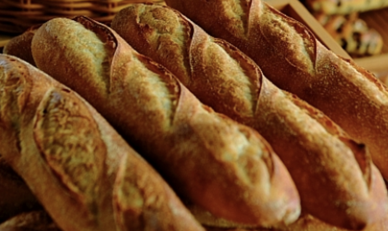 ザ・テラスホテルズ株式会社の求人・転職情報