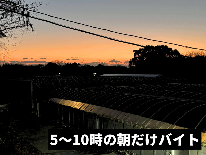 有限会社山道養鰻のアルバイト・バイト求人情報-03