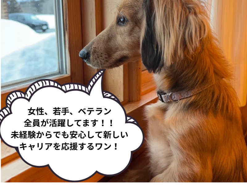 有限会社サイトーテクノの求人・転職情報