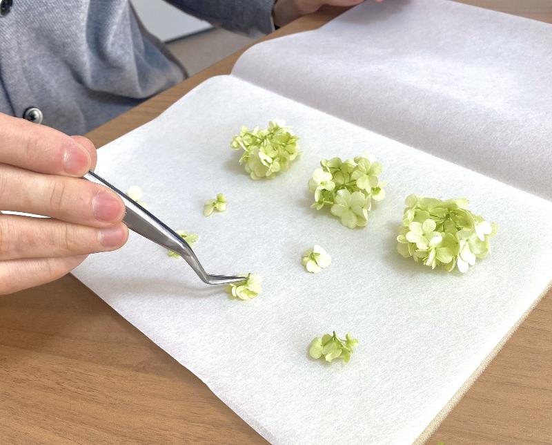 株式会社カリプの求人・転職情報