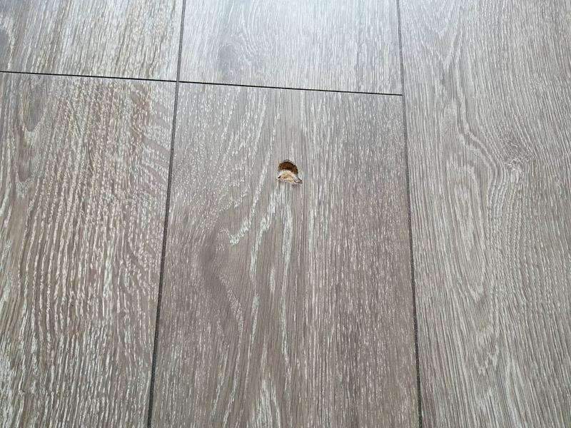 アルバサービスのアルバイト・バイト求人情報-02