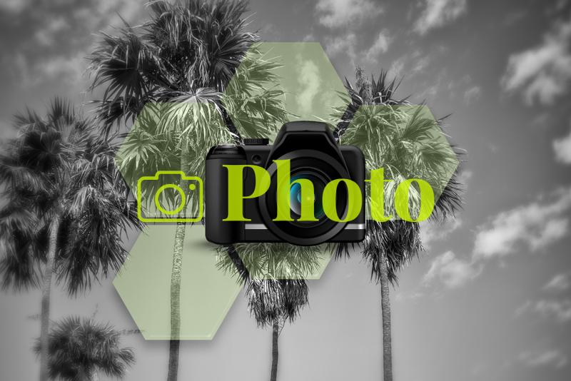 株式会社Ｎｅｔ　Ｌｉｆｅの求人・転職情報