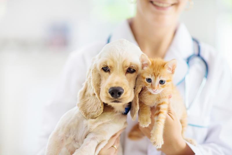 株式会社KKC　コーナン薬局　高槻店の求人・転職情報