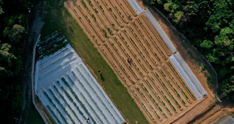 ザ・テラスホテルズ株式会社の求人・転職情報