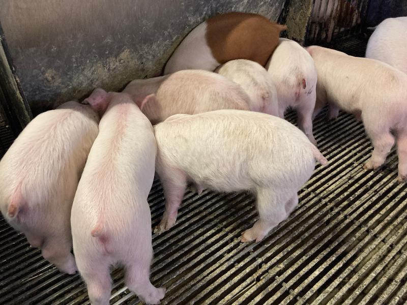 株式会社オーケーコーポレーションのアルバイト・バイト求人情報-02