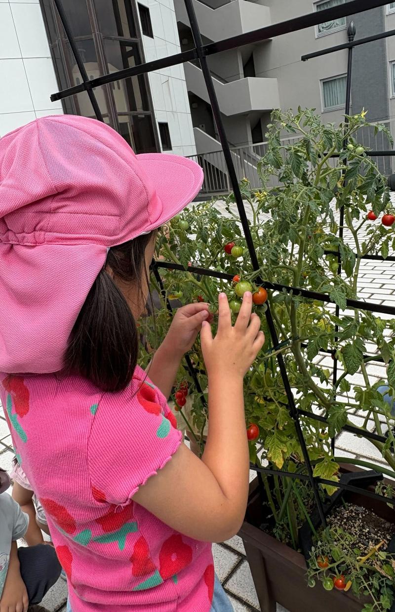 株式会社キッズトライのアルバイト・バイト求人情報-03