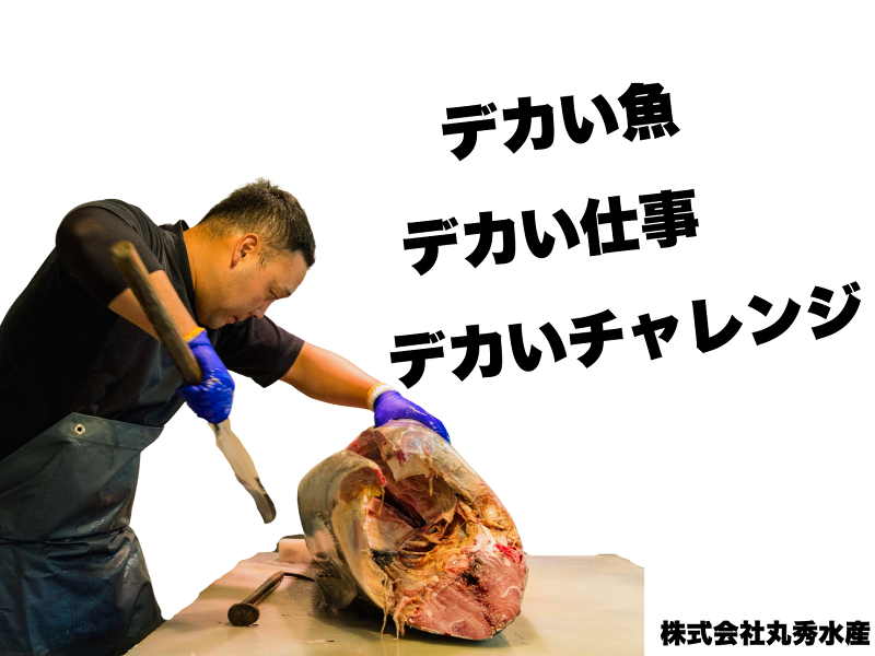 丸秀水産(株)のアルバイト・バイト求人情報-05