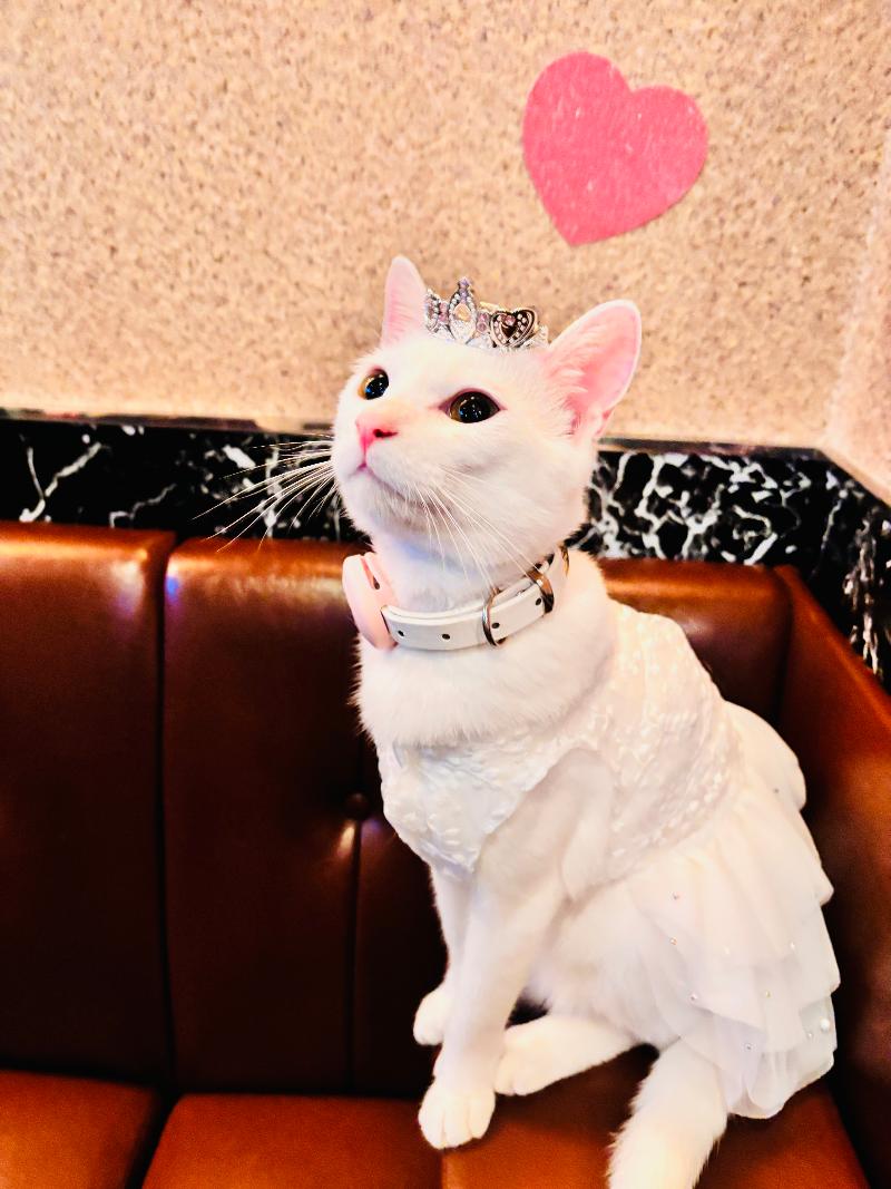 彩-SAI-のアルバイト・バイト求人情報-02