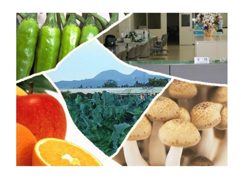 サンリブわさだ店(株式会社丸珠物産)のアルバイト・バイト求人情報-04