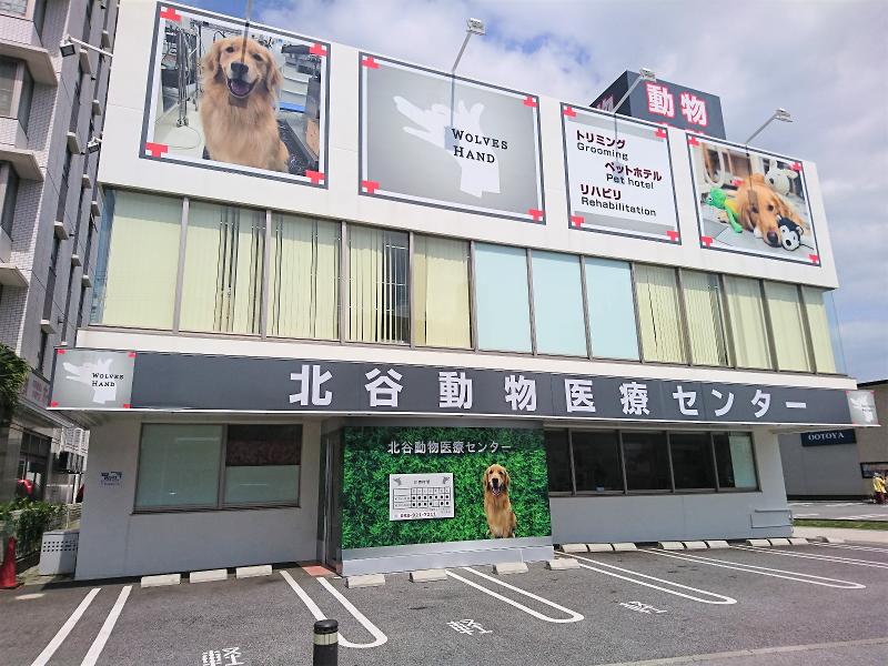 株式会社WOLVES HANDのアルバイト・バイト求人情報-12