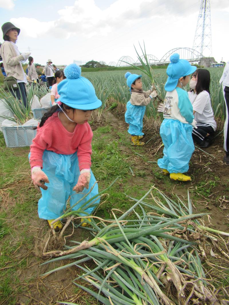 2026年4月採用　こころ保育園　のアルバイト・バイト求人情報-05