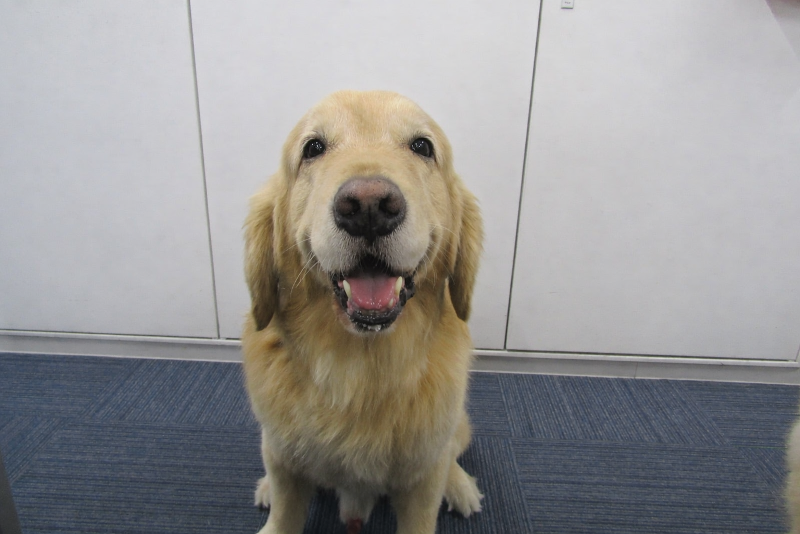 社会福祉法人博光福祉会のアルバイト・バイト求人情報-03