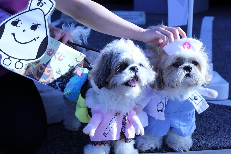 合同会社インクルージョンの求人・転職情報