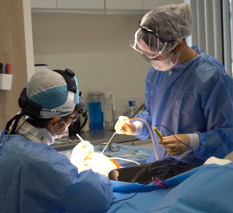 BIKAN CLINIC（BIKAN整形外科）の求人・転職情報