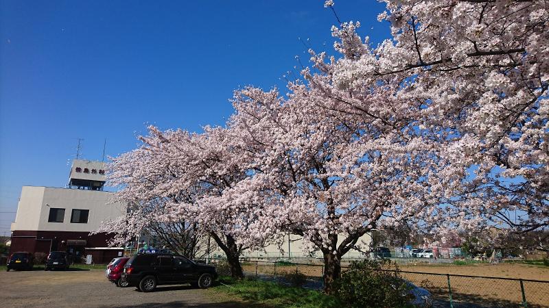 傍島外科(そばじまげか)