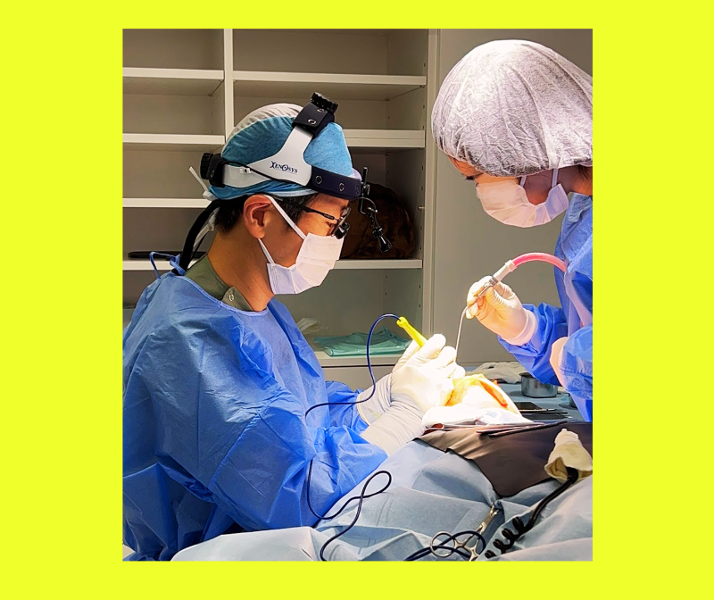 BIKAN CLINIC（BIKAN整形外科）の求人・転職情報