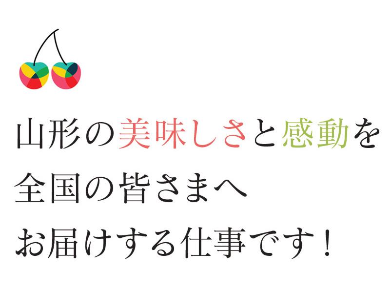 株式会社スプリングスのアルバイト・バイト求人情報-02