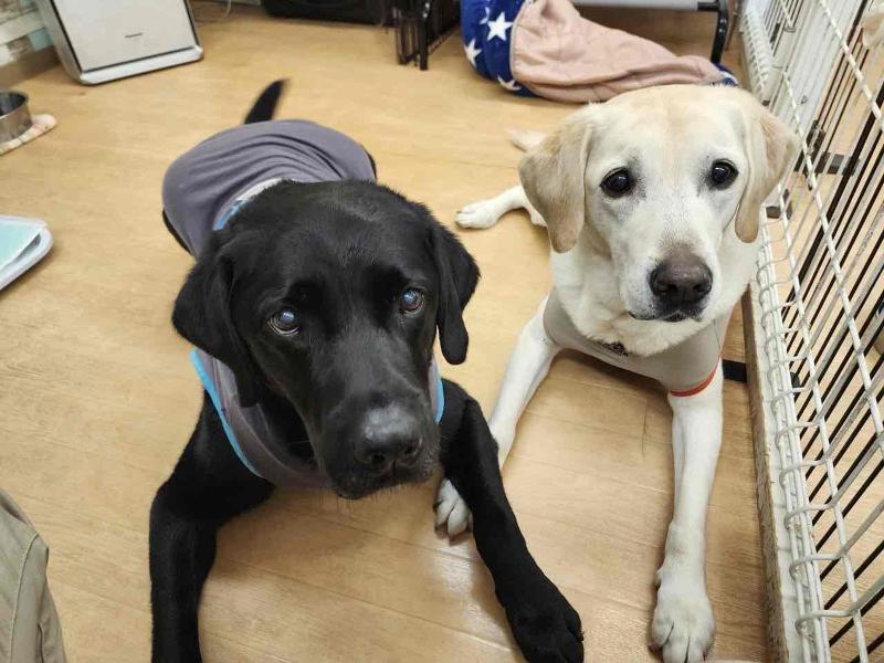 クラブケンケン田園調布店のアルバイト・バイト求人情報-04