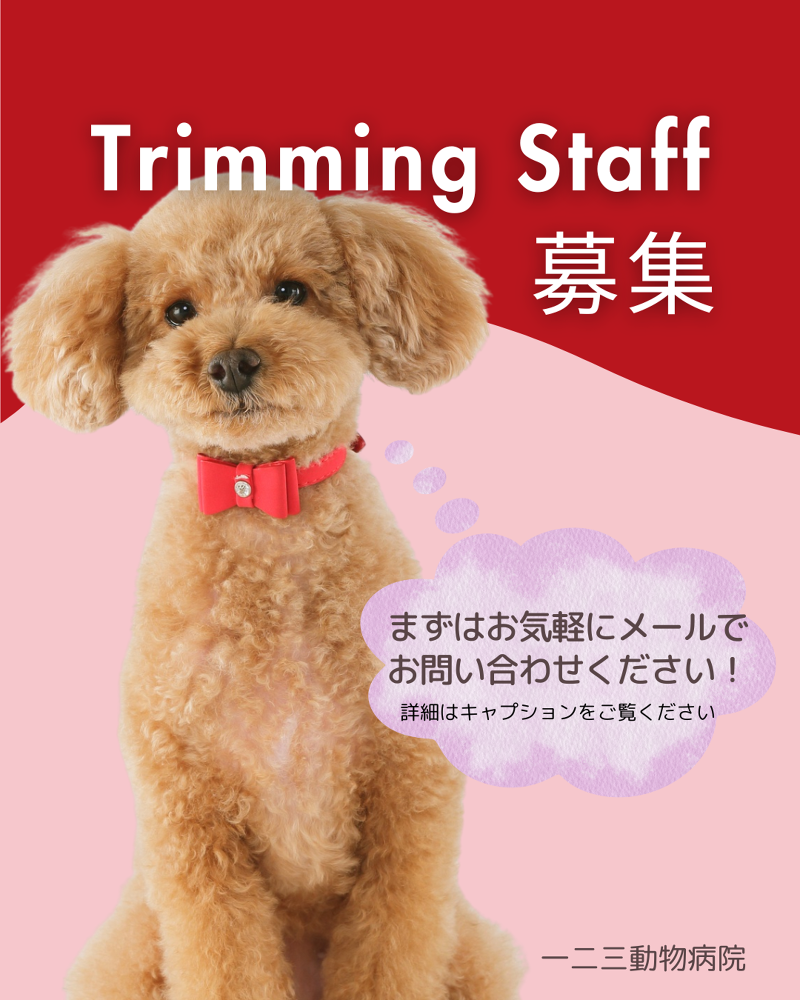 一二三動物病院のアルバイト・バイト求人情報-04