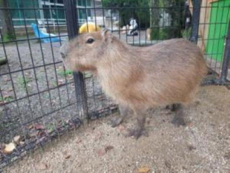 株式会社ウェバレッジのアルバイト・バイト求人情報-05