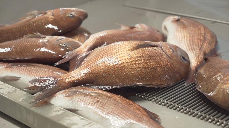 株式会社道水の求人情報