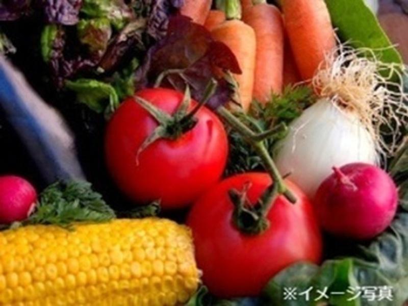 株式会社船昌の求人・転職情報