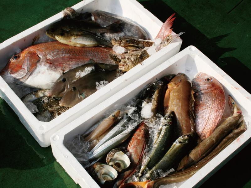 株式会社共和フーズ マリンラボ事業部のアルバイト・バイト求人情報-02